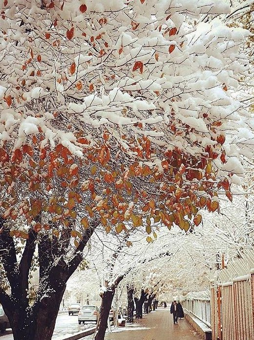 Mesmerizing Tabriz in snow #Tabriz, #Iran….png