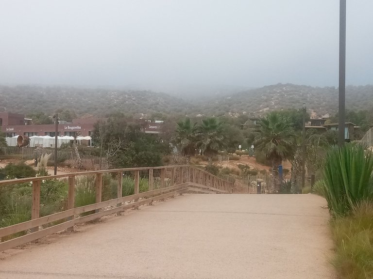 20220805_150739.jpg