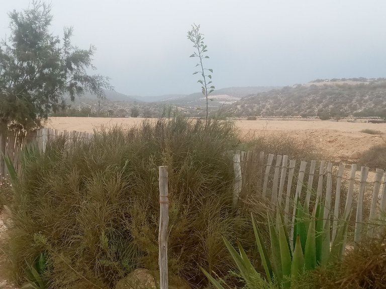 20220805_144145.jpg