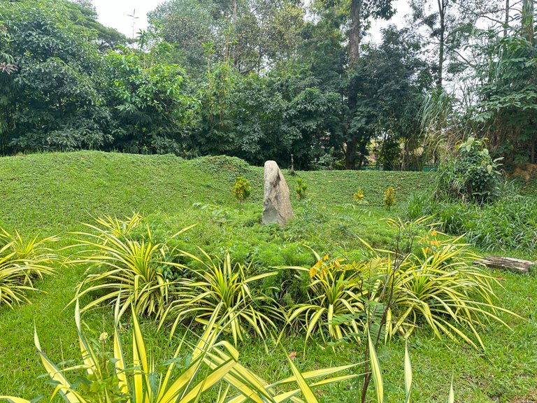 Angkor Botanical Garden 🪴!