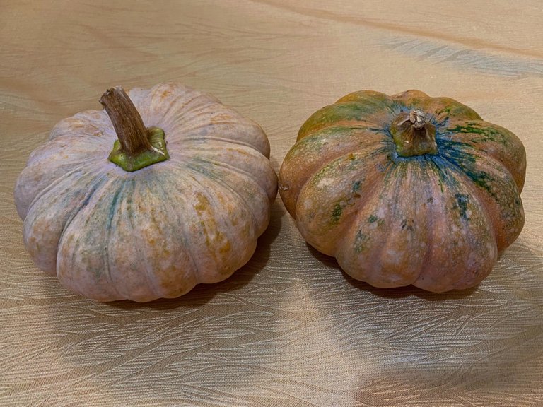 Cambodia pumpkins