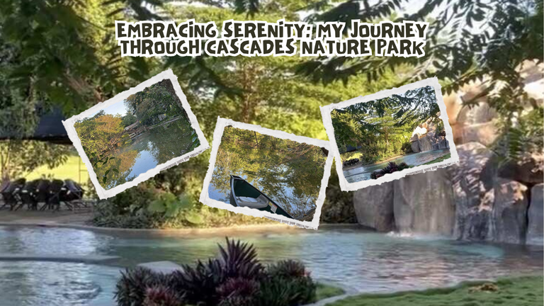 park.png
