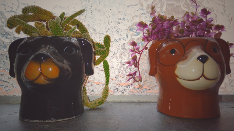 Margot e Venus em forma de vaso!