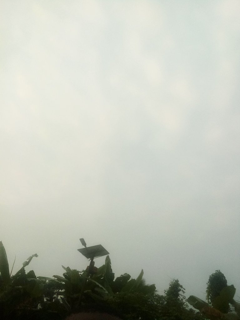 IMG_20220815_063445_4.jpg