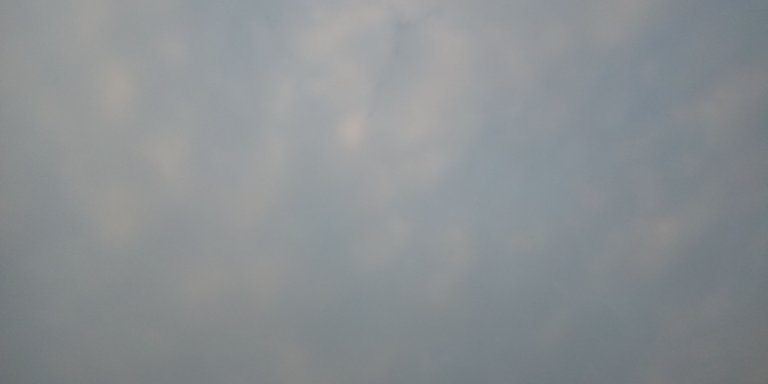 IMG_20220815_063418_4.jpg