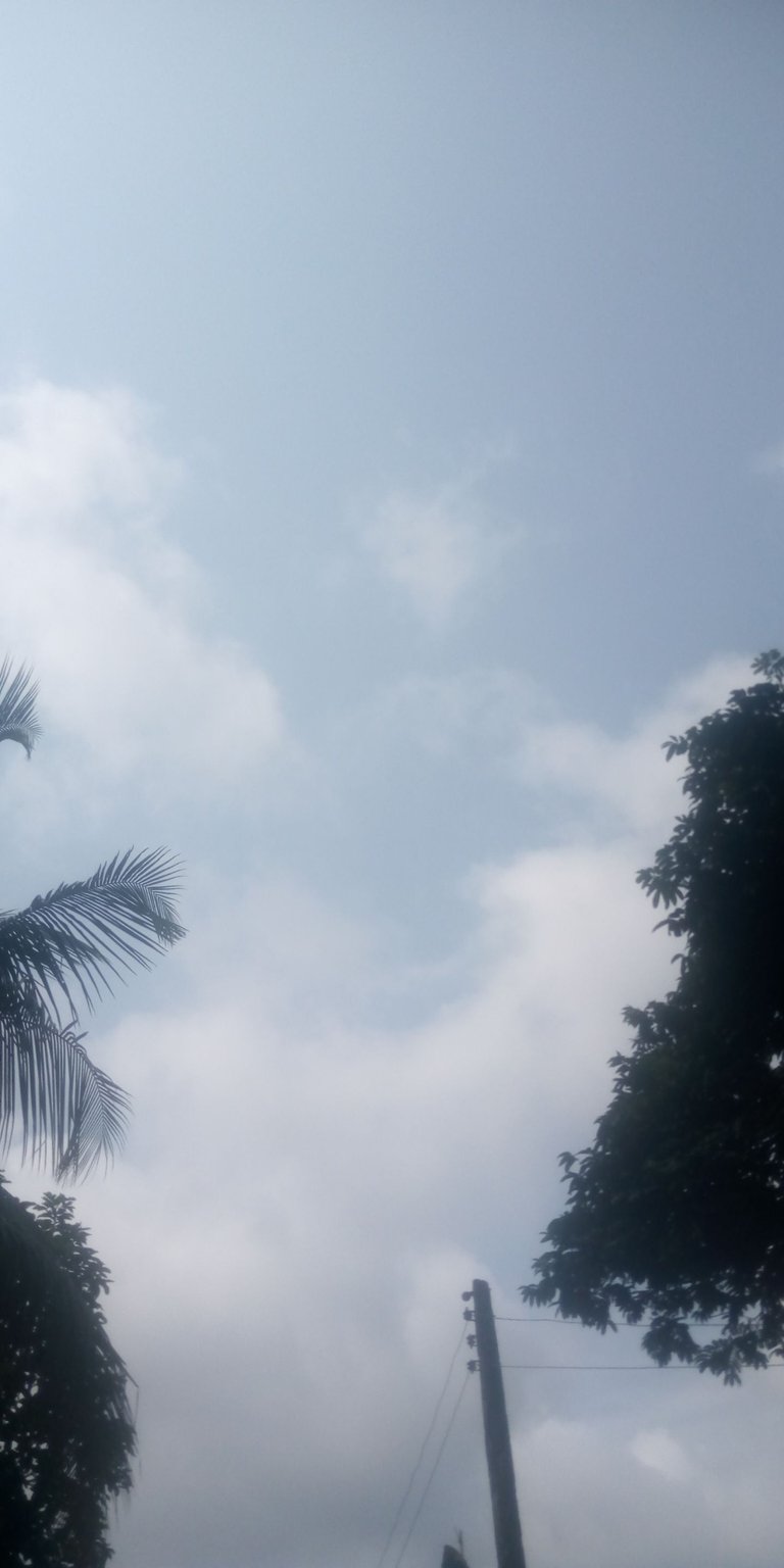 IMG_20220815_100423_1.jpg