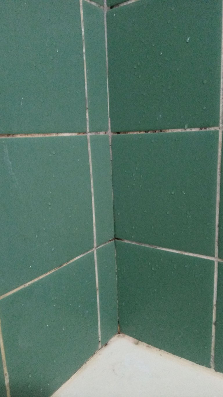 20210522_115603.jpg