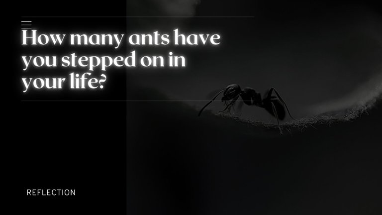 How many ants have you stepped on in your life.jpg