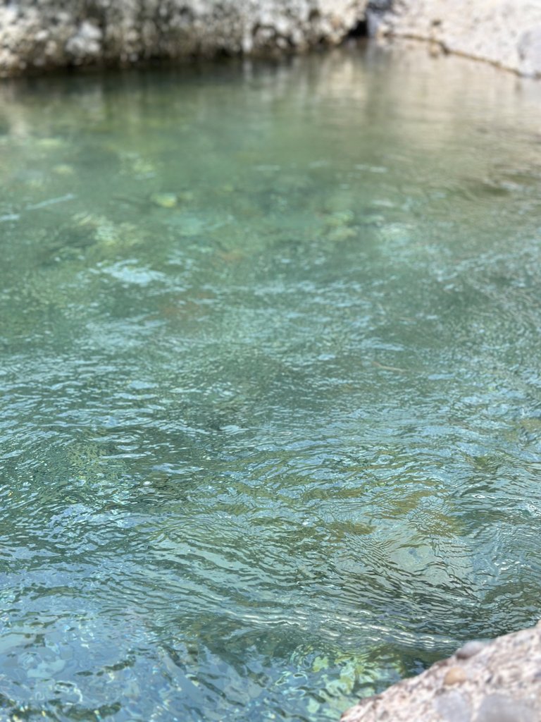 IMG_1400.jpeg