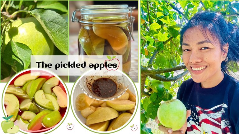 Make pickled apples.png
