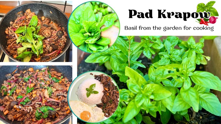 Basil.png