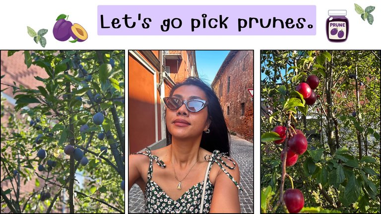 Let's go pick prunes..png
