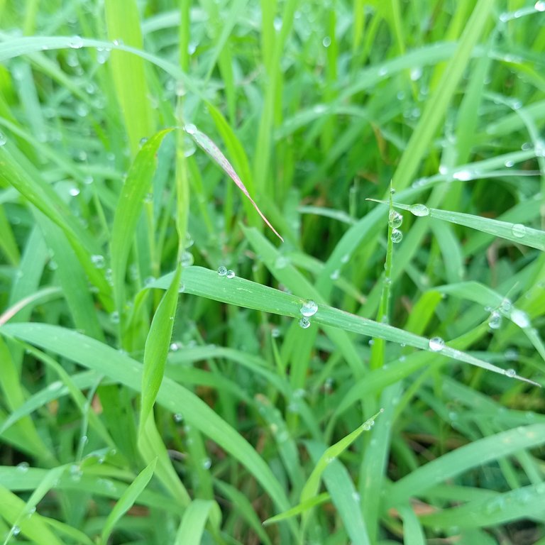 IMG_20250522_063753.jpg