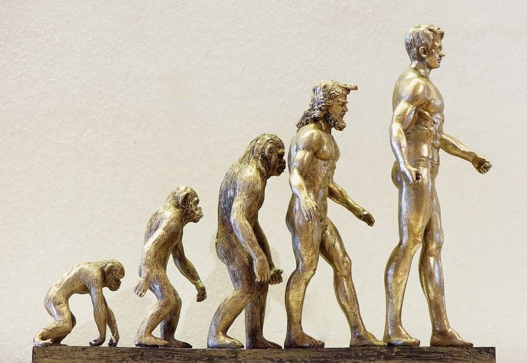 evolution-4107273_1280.jpg
