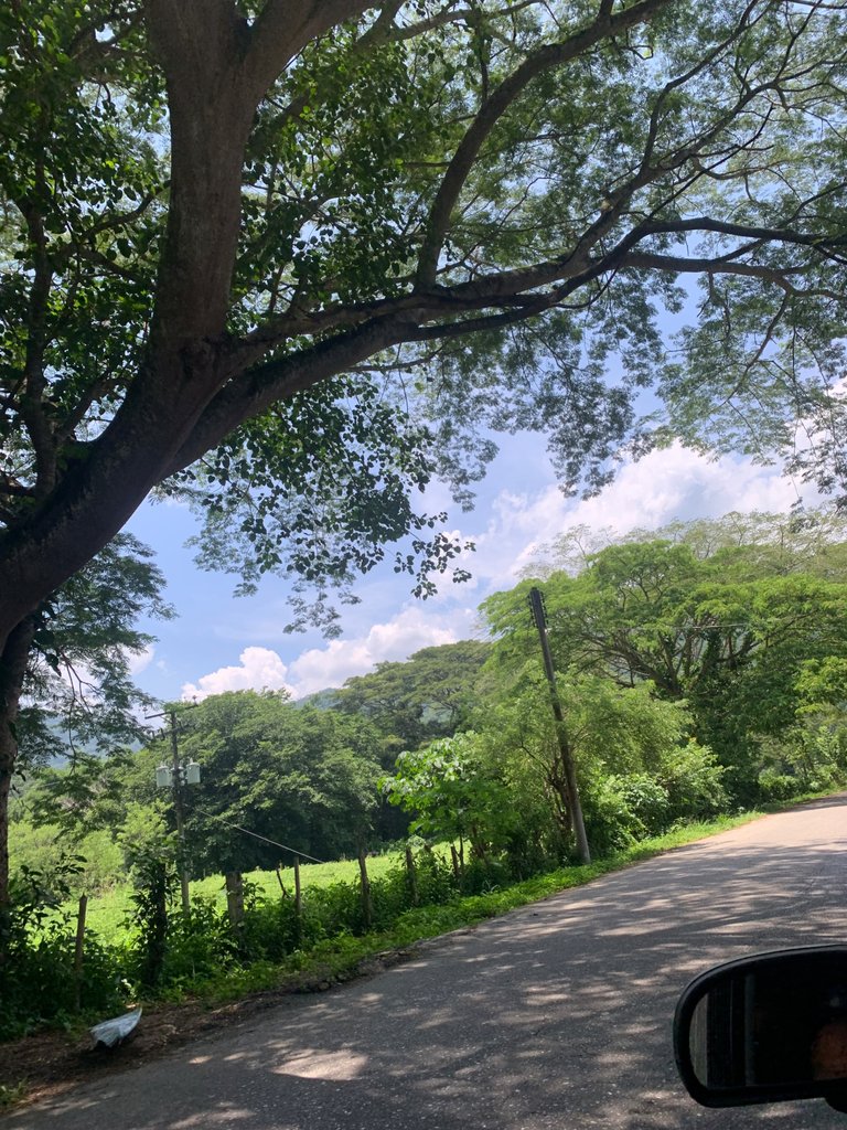 IMG_1518.jpeg