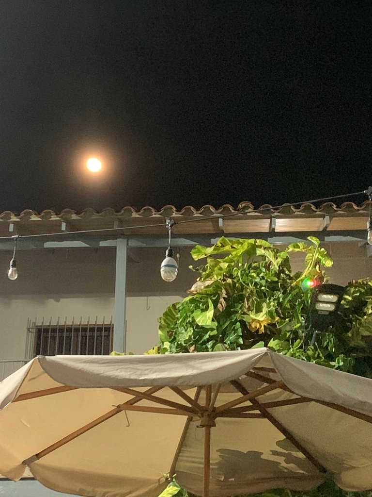 IMG_1432.jpeg