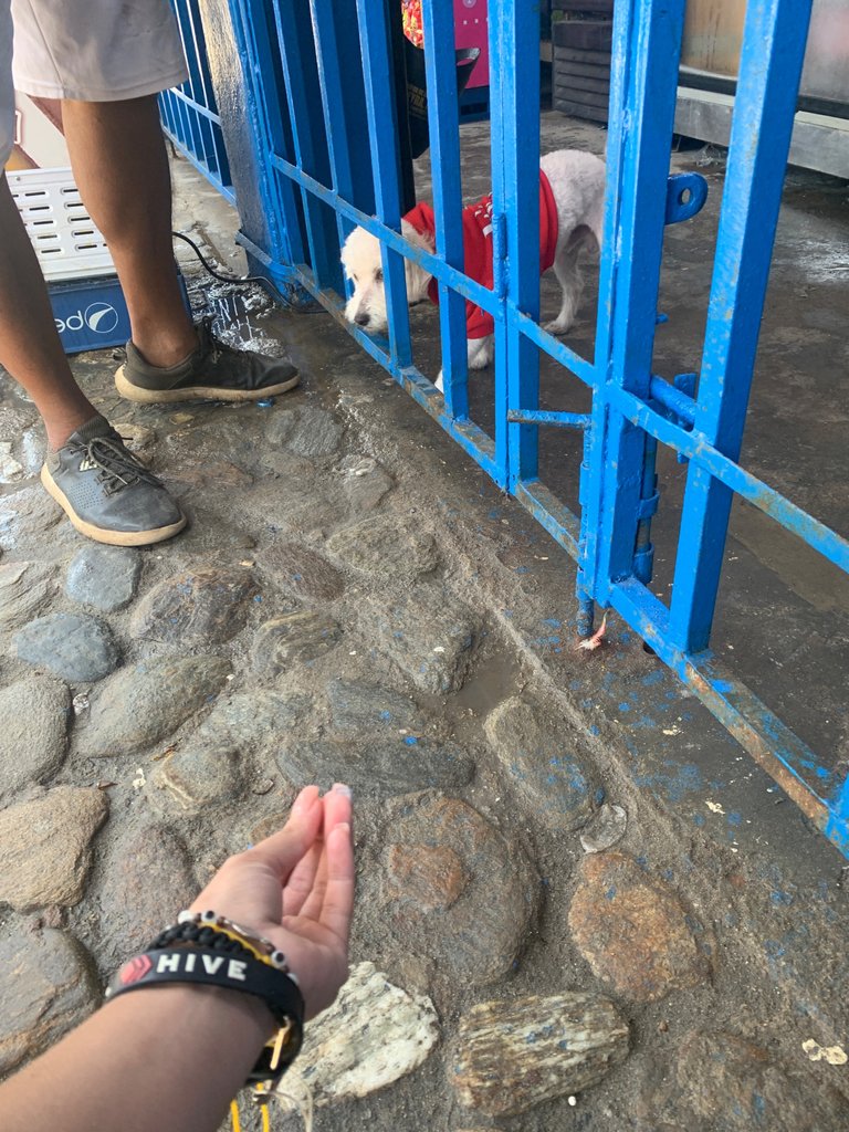 IMG_1494.jpeg
