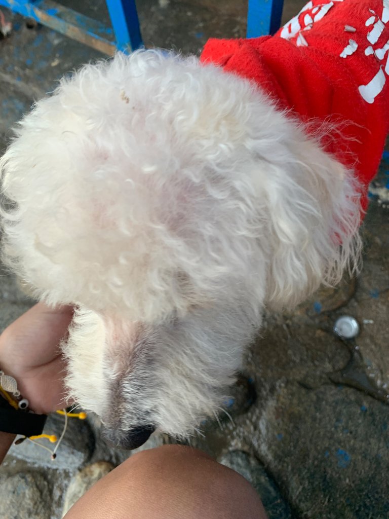 IMG_1500.jpeg