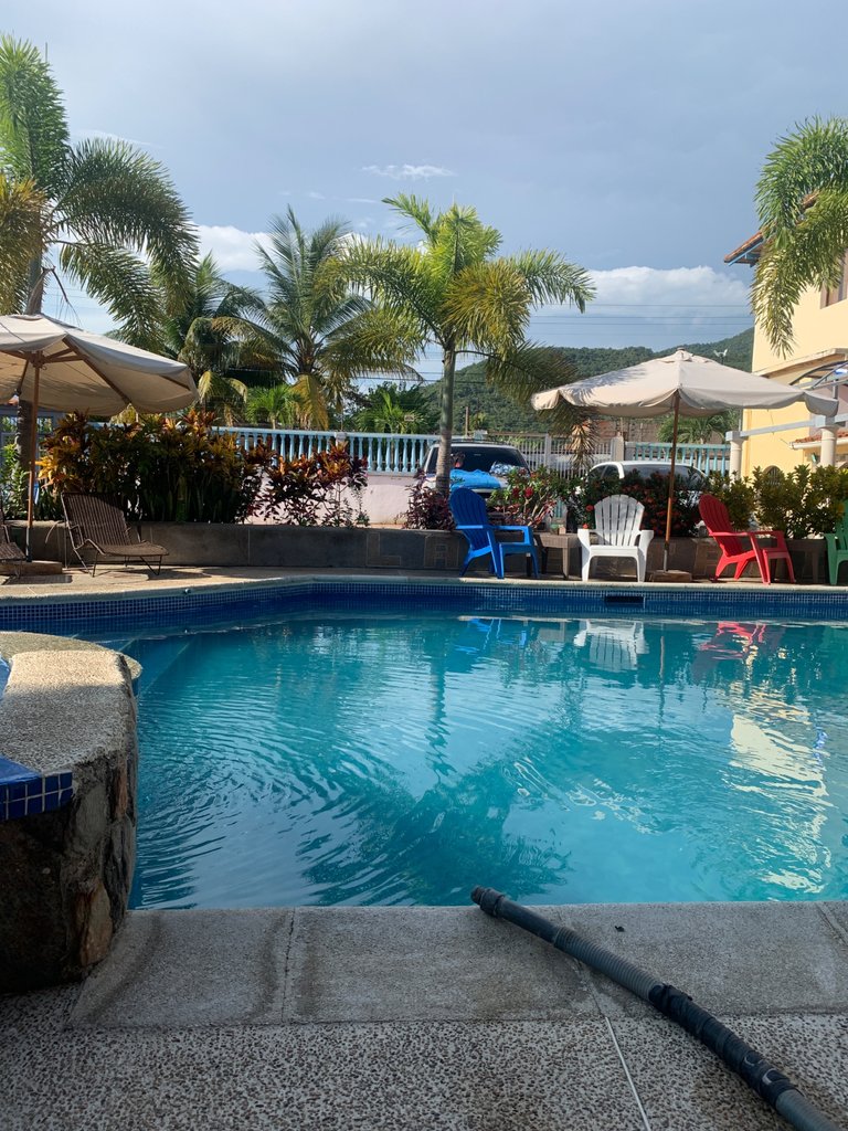 IMG_1464.jpeg