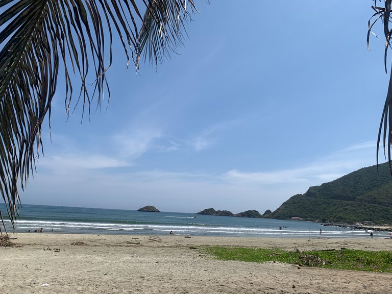 IMG_1487.jpeg