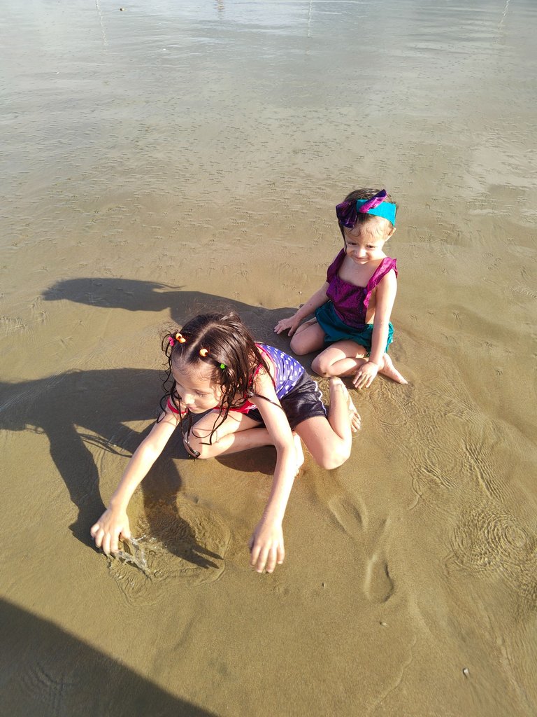 IMG20250225165801.jpg