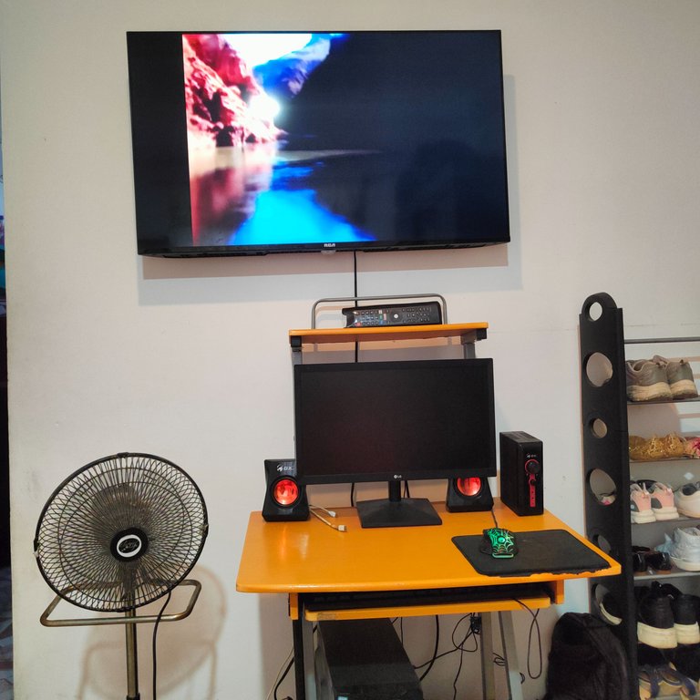 IMG20250524111550.jpg