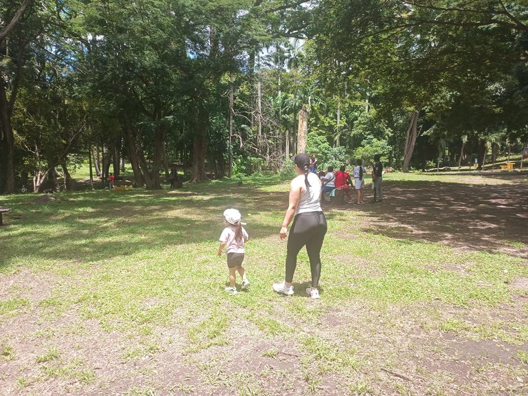 IMG_20250826_113028_387.jpg