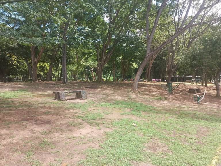 IMG_20250826_113257_596.jpg