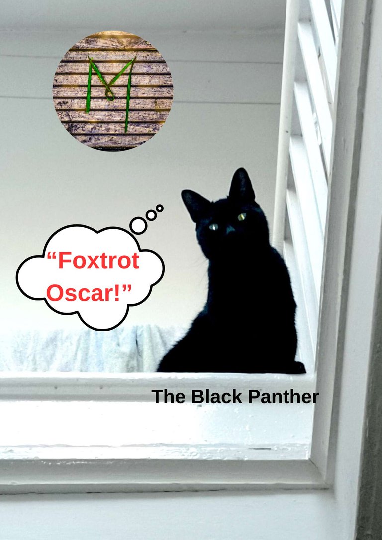 Black Panther - Generic Post-4.jpg