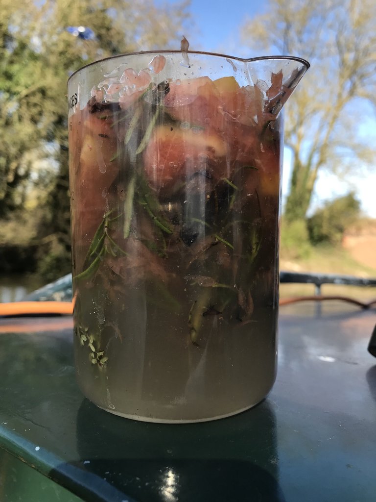 infusing air freshner.jpg