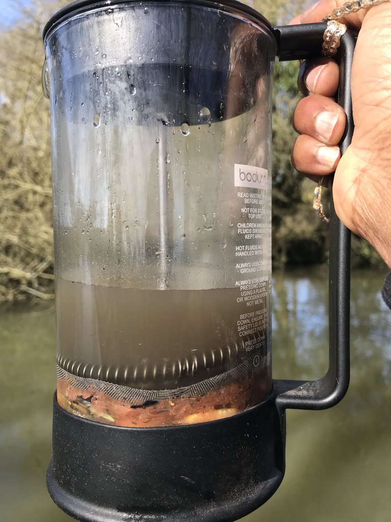 strained air freshner.jpg