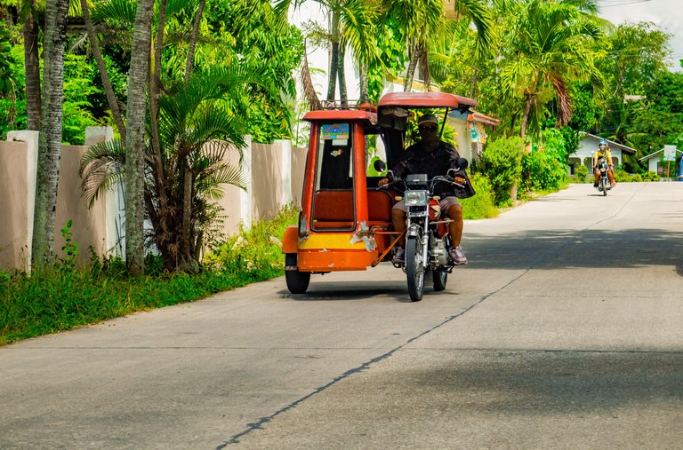 _B130541_nature tricycle.jpg