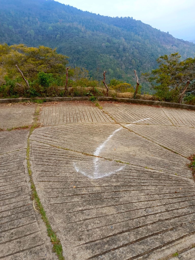 1000267684.jpg