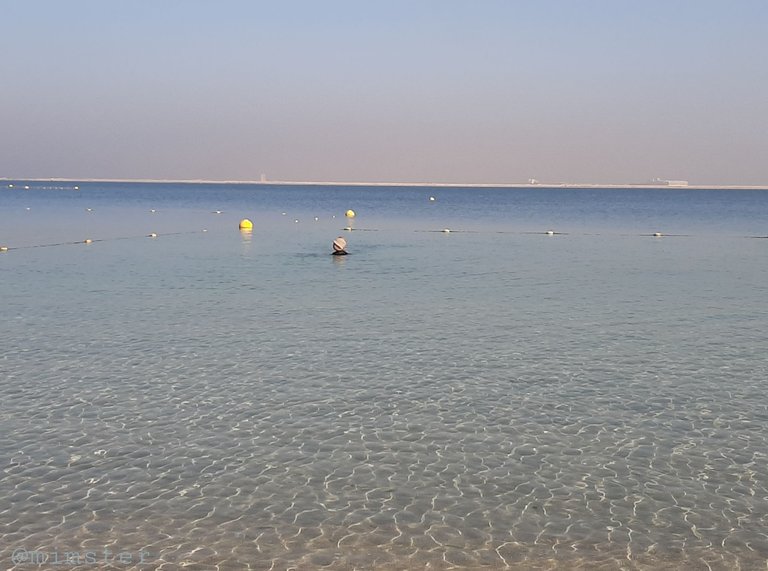 20230131_222734.jpg