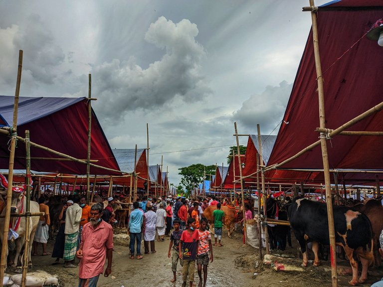 View of the market