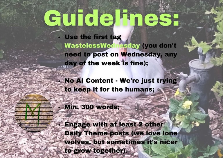 GUIDELINES WASTELESS WEDNESDAY.jpg