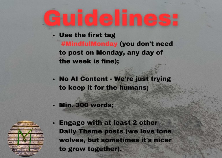 GUIDELINES MINDFUL MONDAY.jpg