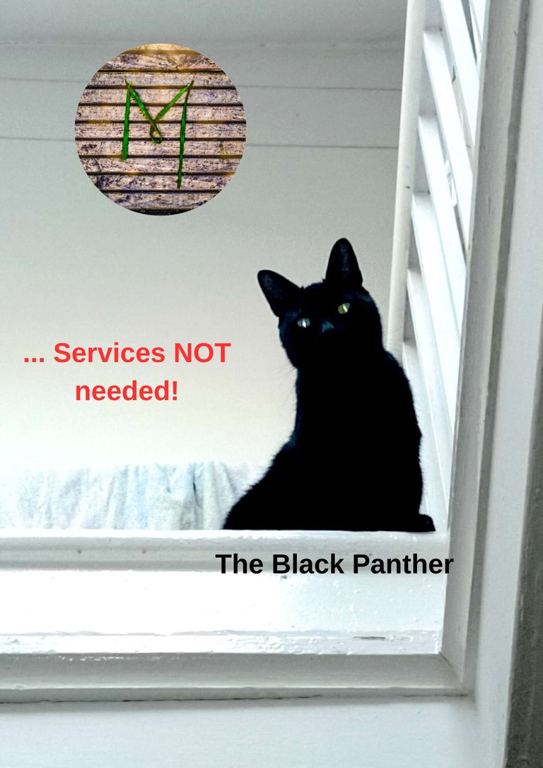 Black Panther - Generic Post-3.jpg