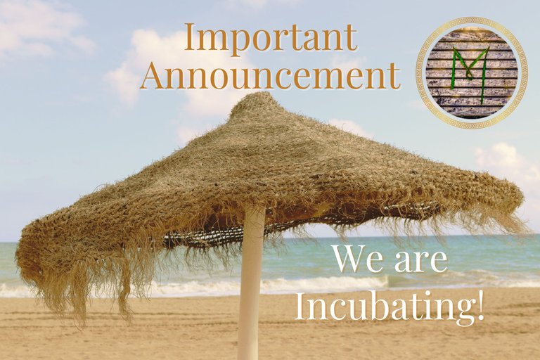 Important Announcement We Are Incubating!.jpg