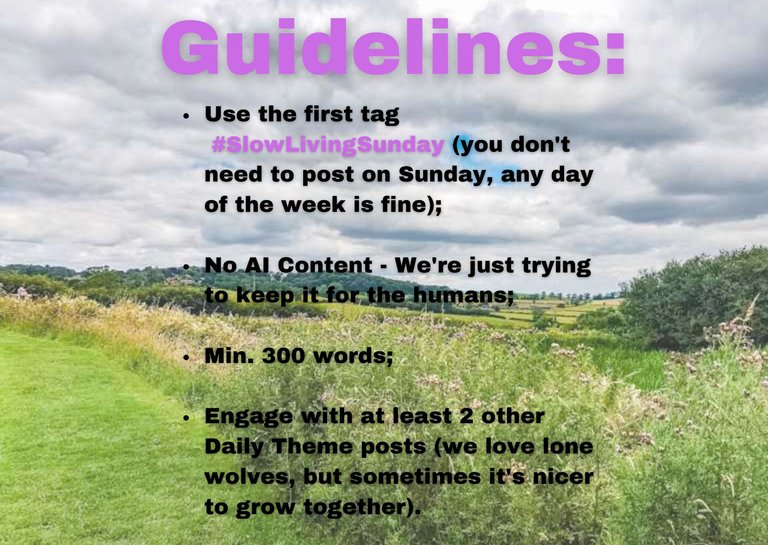 GUIDELINES SLOWLIVING SUNDAY-5.jpg