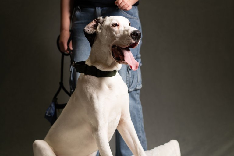 FLYNN-02734.jpg