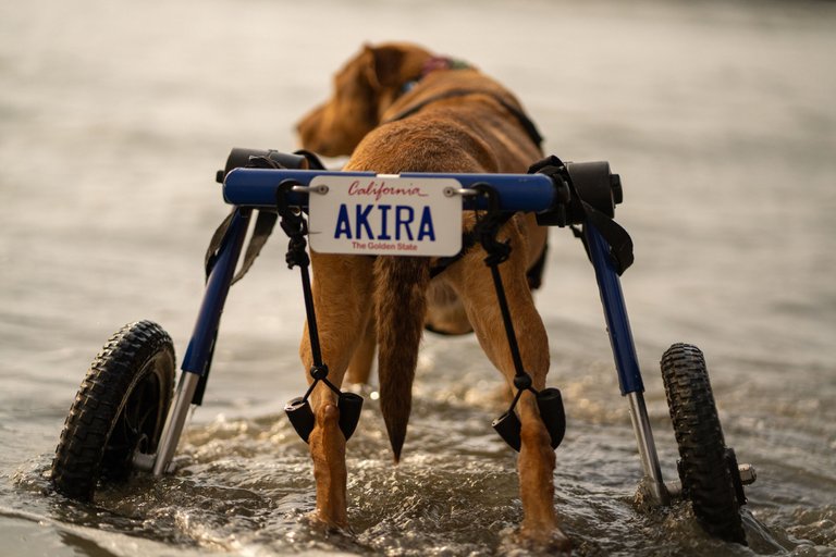 AKIRA-02469_smaller.jpg