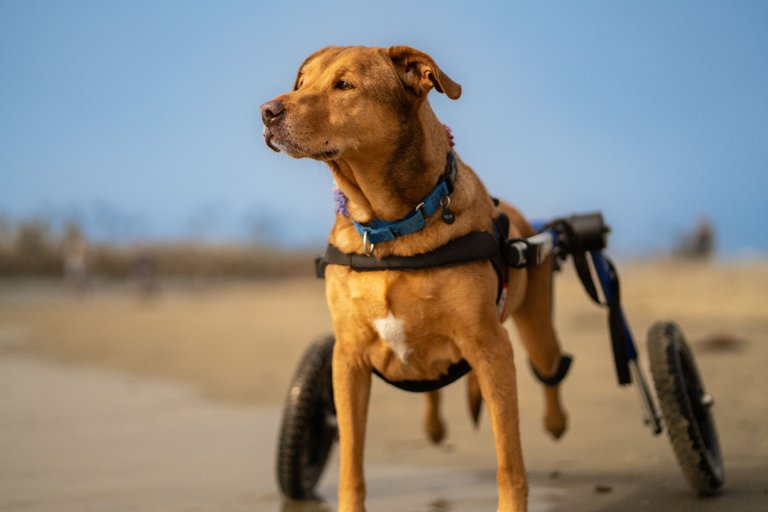 AKIRA-02435_smaller.jpg