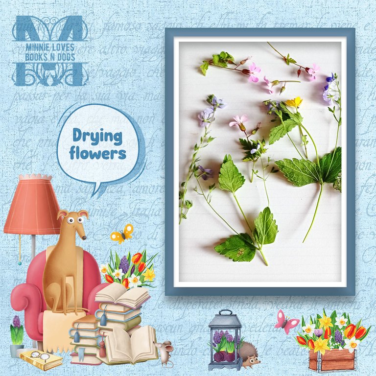 drying-flowers.jpg