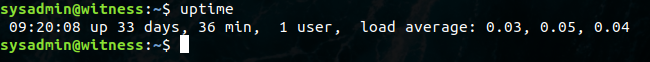 witness linux server uptime