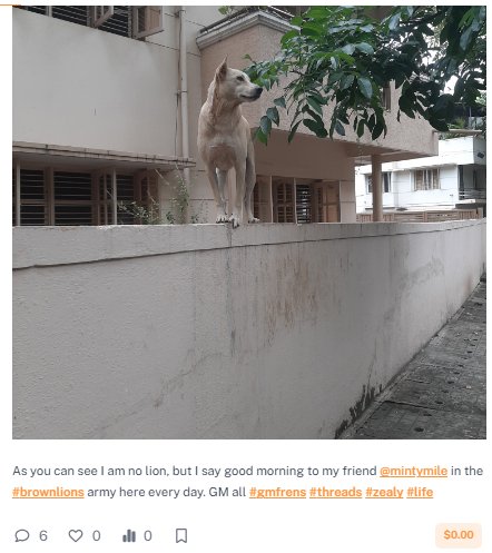 dog_r.jpg