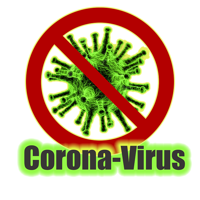 virus4810549_640.png