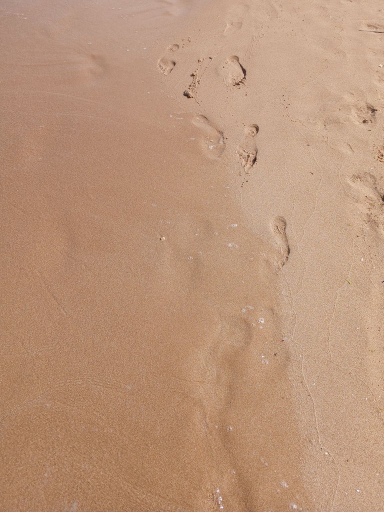 20250618_171829.jpg