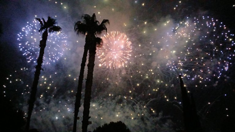 20250810_001004.jpg