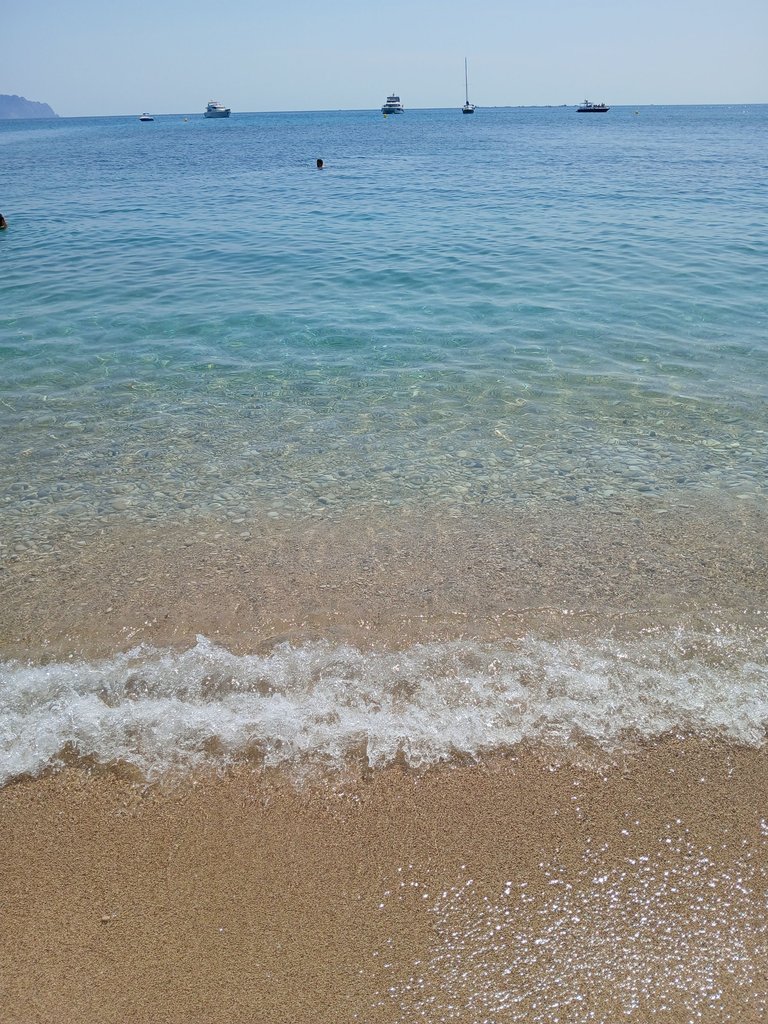 1000028351.jpg
